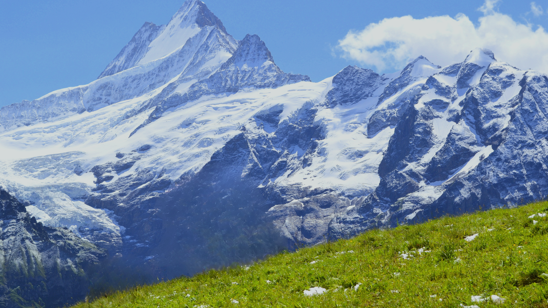 Nutralita.com Anxiety Support